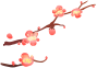 塔孜 | 新年伊始，萬(wàn)象更新，1月啟動(dòng)大會(huì)圓滿落幕！
